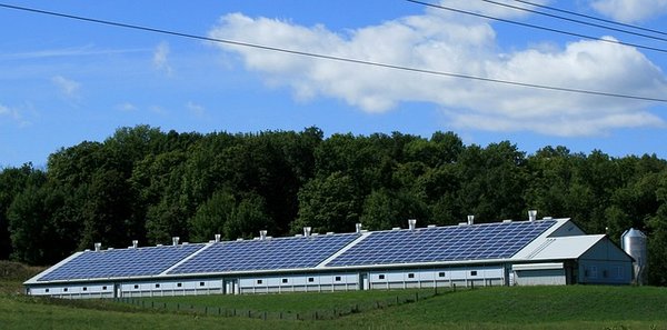 Comment nettoyer ses panneaux solaires efficacement ?
